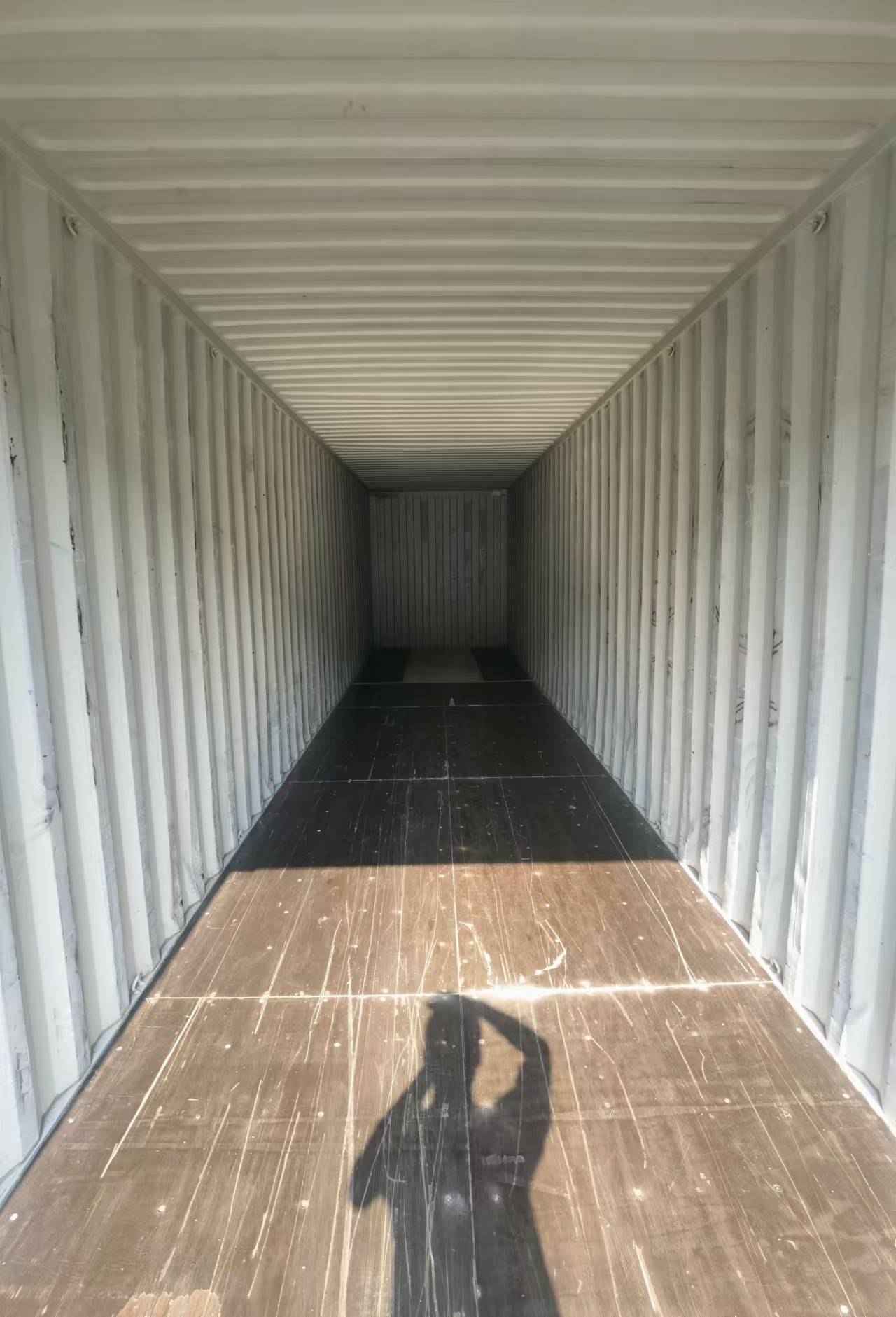 الصورة_20240816103447